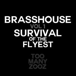 Brasshouse Volume 1: Survival of the Flyest cover art