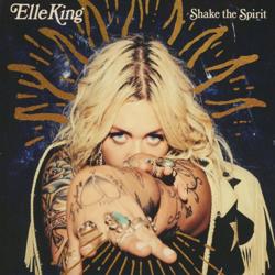 Shake The Spirit cover art