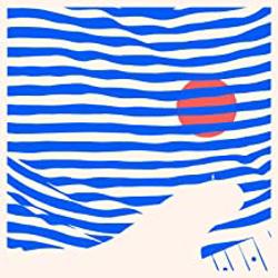 The Striped Album cover art