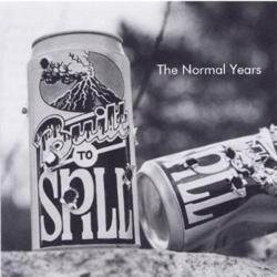 The Normal Years cover art